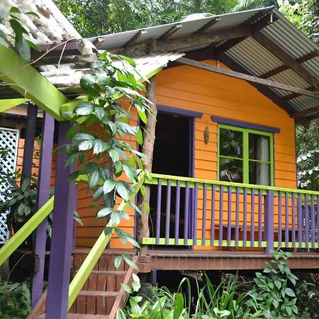 Rainforest Hideaway Cape Tribulation Eksteriør bilde