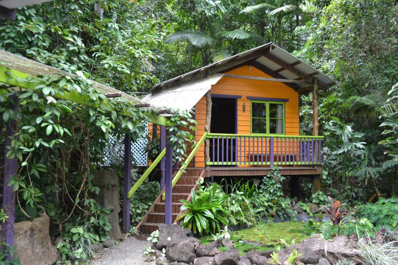 Rainforest Hideaway Cape Tribulation Eksteriør bilde