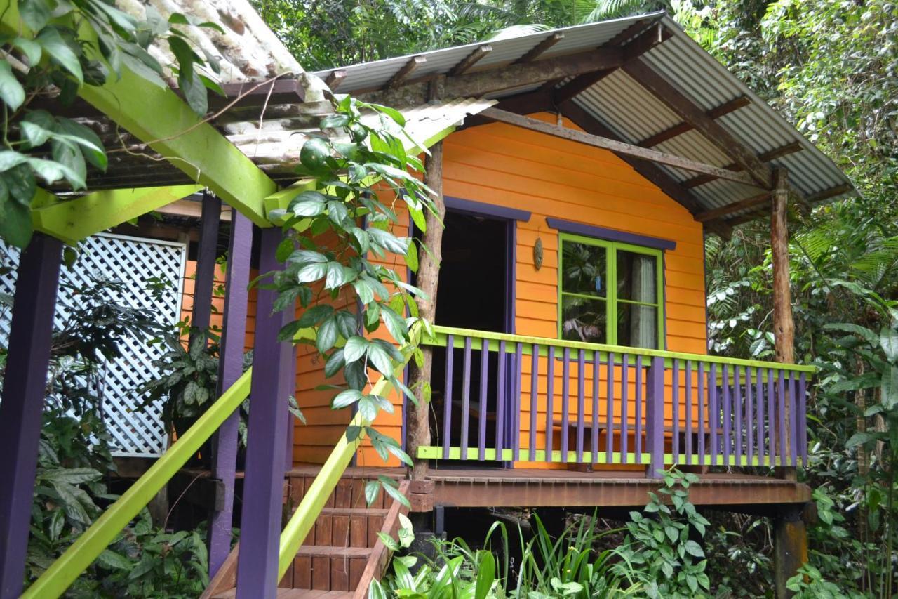 Rainforest Hideaway Cape Tribulation Eksteriør bilde