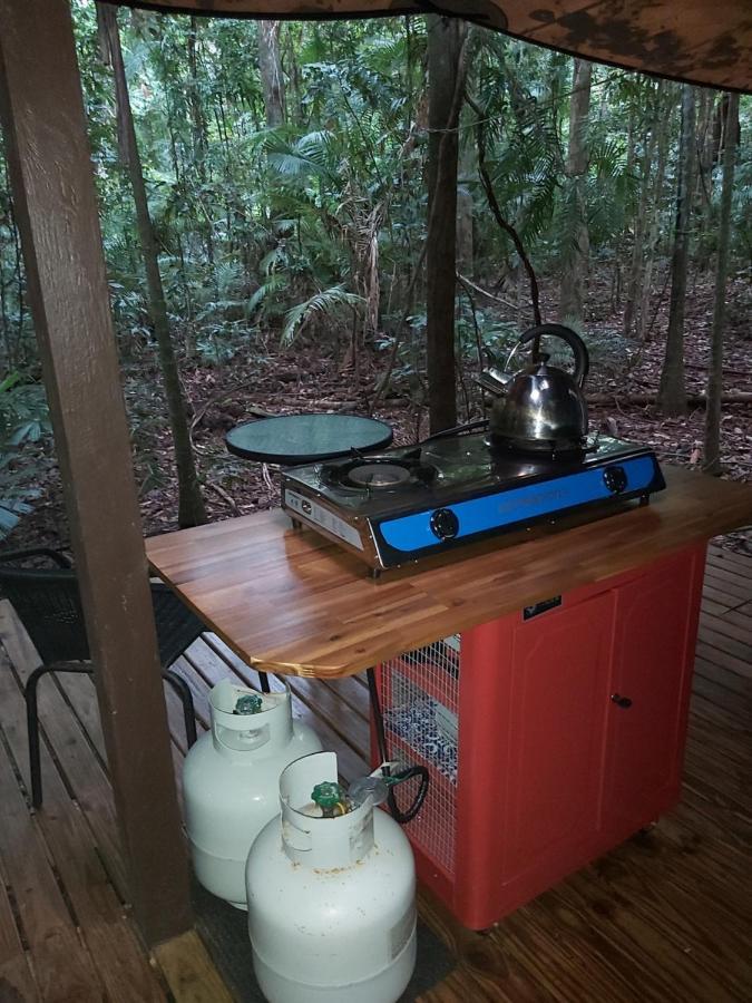 Rainforest Hideaway Cape Tribulation Eksteriør bilde
