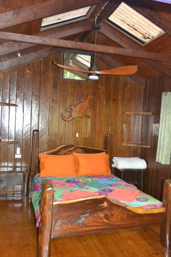 Rainforest Hideaway Cape Tribulation Eksteriør bilde