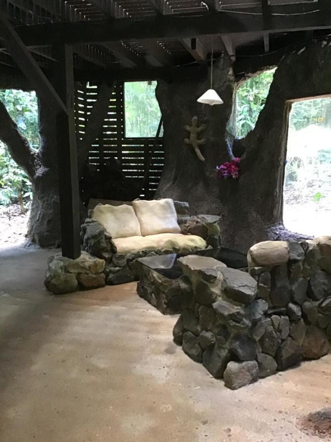 Rainforest Hideaway Cape Tribulation Eksteriør bilde