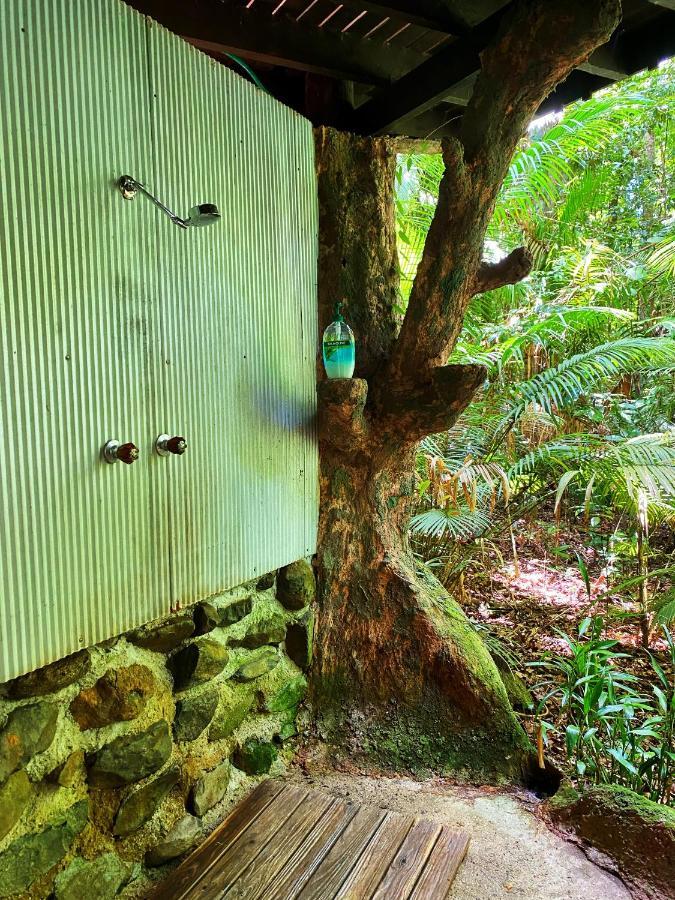 Rainforest Hideaway Cape Tribulation Eksteriør bilde