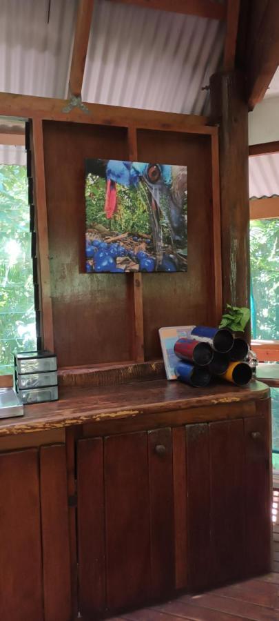 Rainforest Hideaway Cape Tribulation Eksteriør bilde