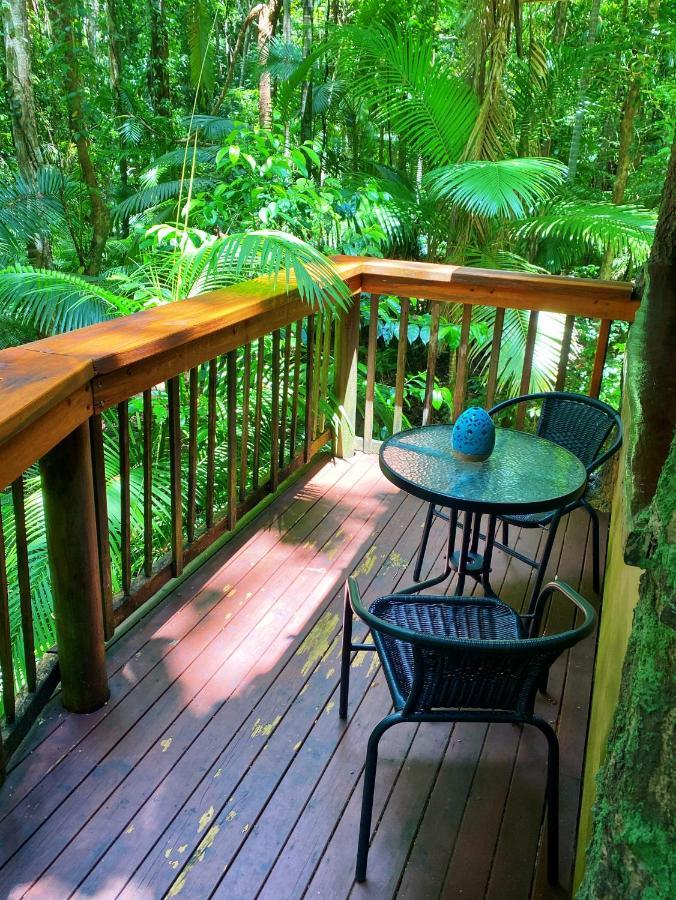 Rainforest Hideaway Cape Tribulation Eksteriør bilde