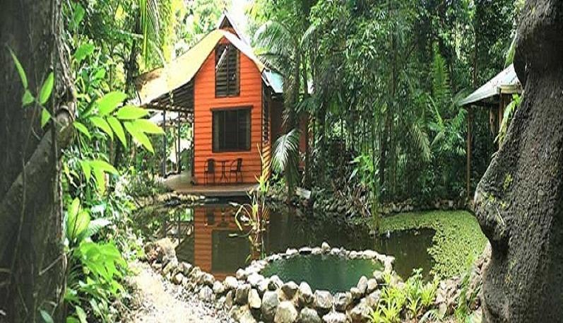 Rainforest Hideaway Cape Tribulation Rom bilde