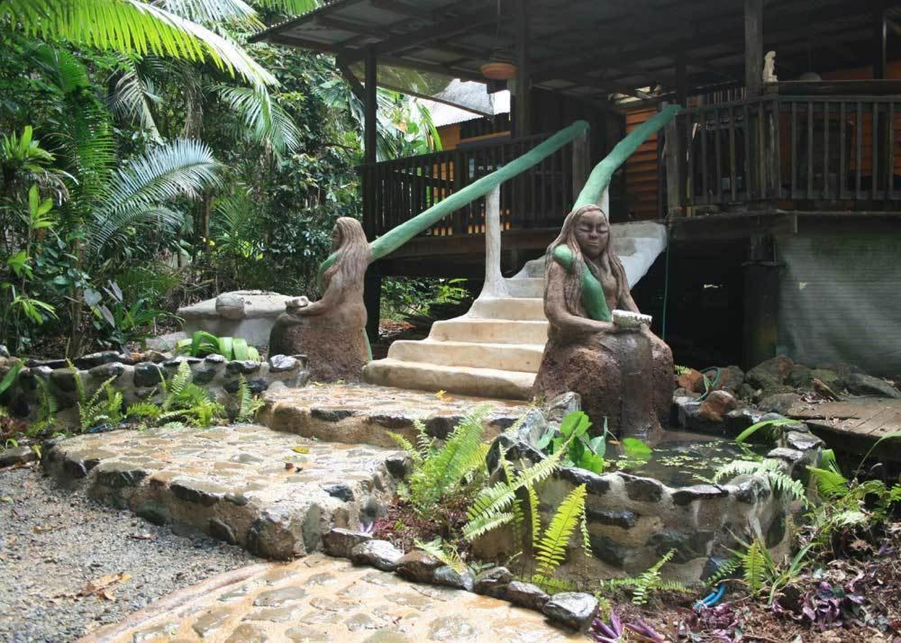 Rainforest Hideaway Cape Tribulation Eksteriør bilde