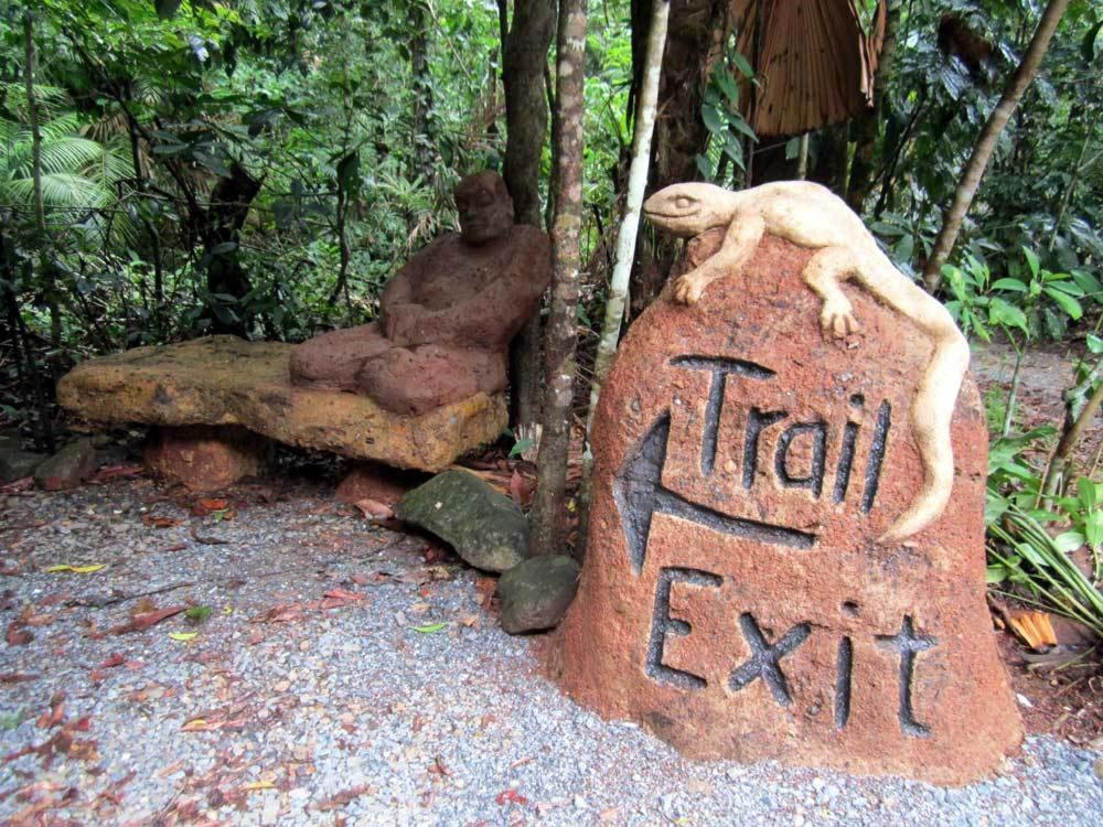 Rainforest Hideaway Cape Tribulation Eksteriør bilde
