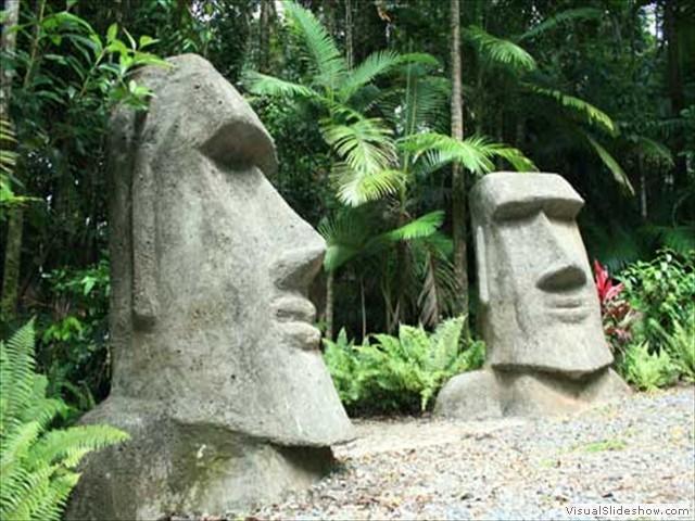 Rainforest Hideaway Cape Tribulation Eksteriør bilde