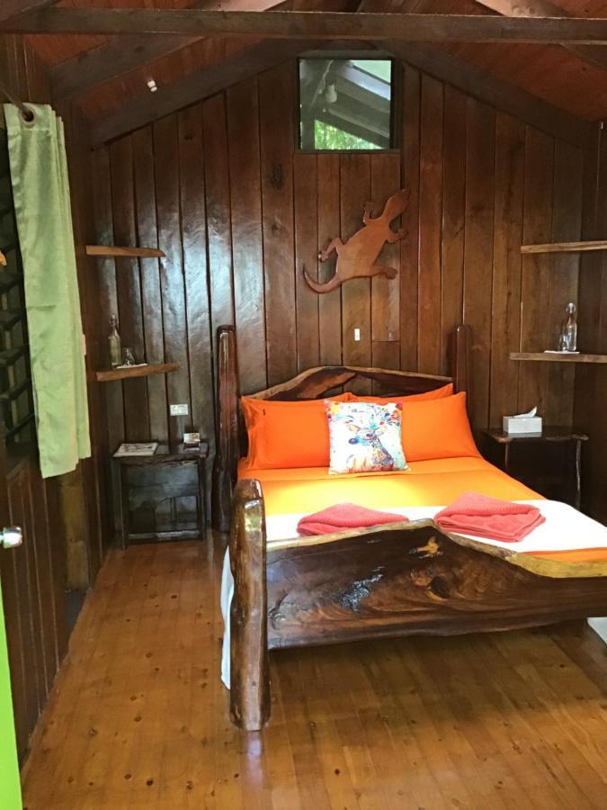 Rainforest Hideaway Cape Tribulation Eksteriør bilde